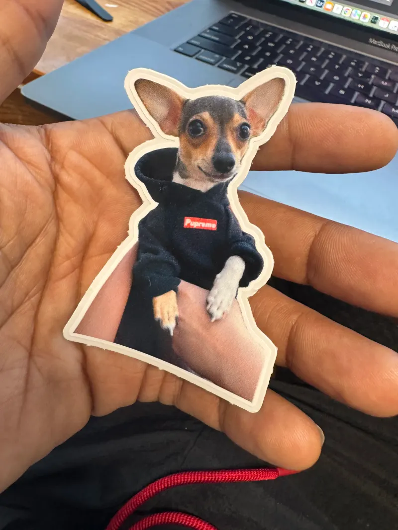 Pupreme sticker run from the shop